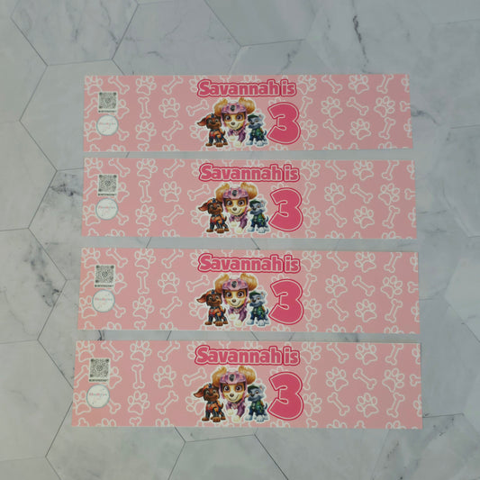 Paw Patrol Water bottle labels,Paw Patrol waterproof labels